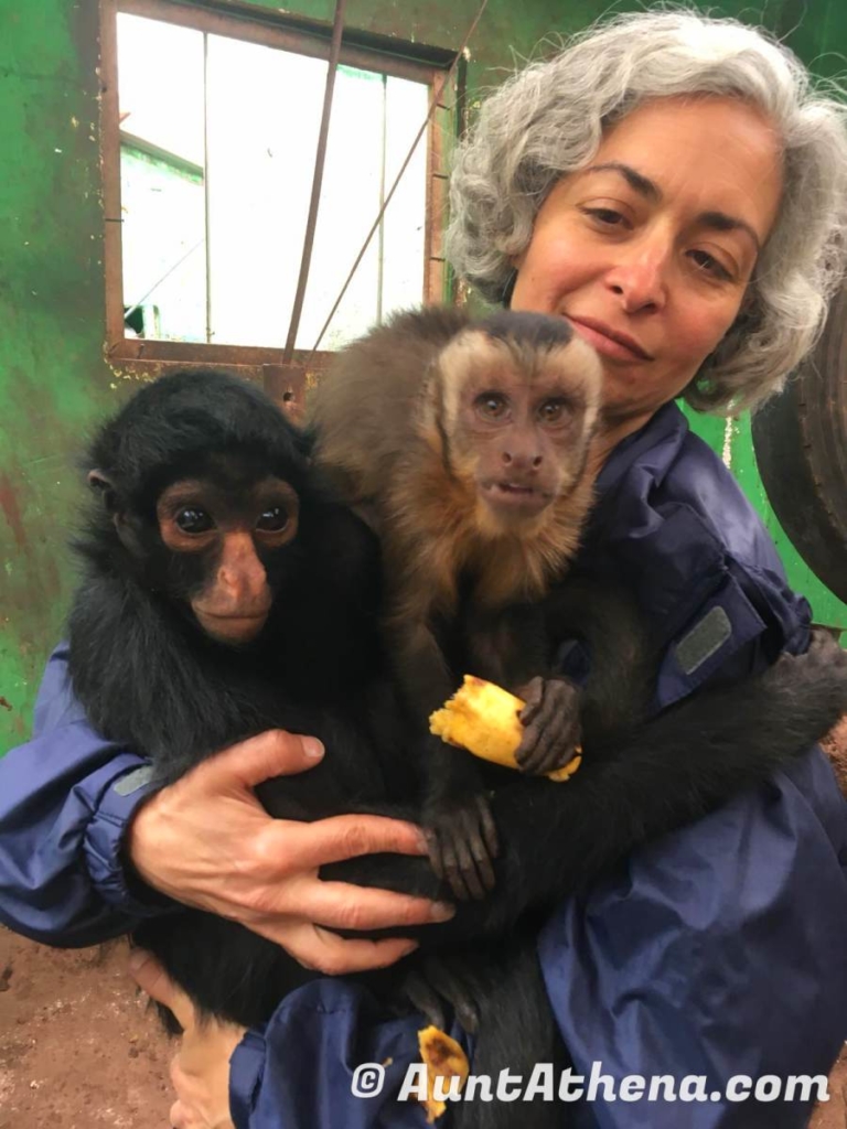 Aunt Athena holding a spider monkey and a capuchin monkey