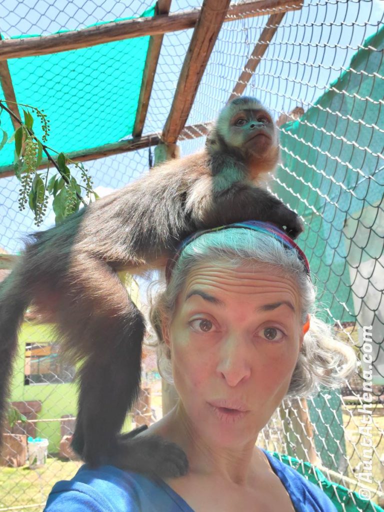 Athena Demos with a monkey on her shoulder